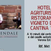 Hotel/agriturismo/vigneto doc e cantina vini