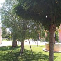 Relax sicilia marzamemi