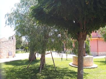 Relax sicilia marzamemi