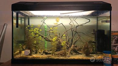 Acquario 140L completo e chiuso 
