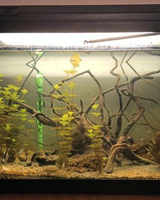 Acquario 140L completo e chiuso 