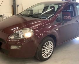 Fiat Punto 1.2 8V 5 porte Easy-solo Km 22000-