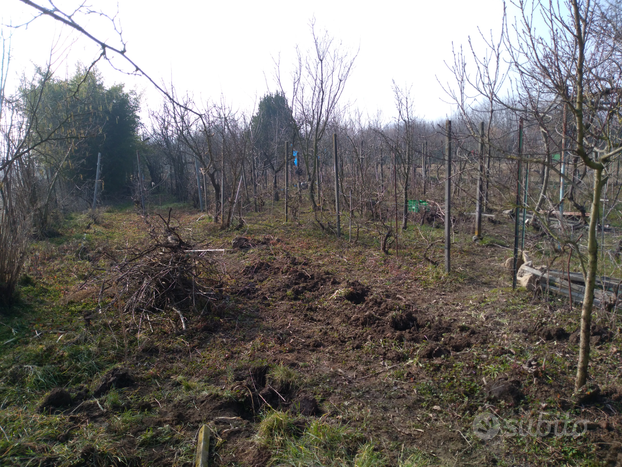 Orto a novara zona bicocca