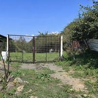 Il Tuo Angolo di Campagna tra 200 Ulivi