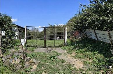 Il Tuo Angolo di Campagna tra 200 Ulivi