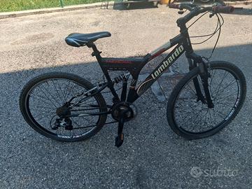 bicicletta per adulti 
