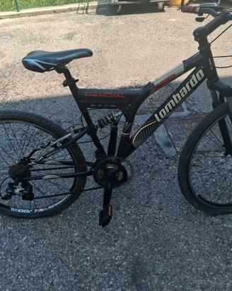 bicicletta per adulti 
