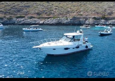 Barca Sagene 33 open con t-top