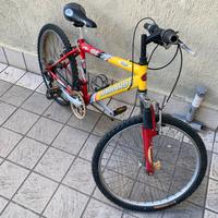 Bici Lombardo 24
