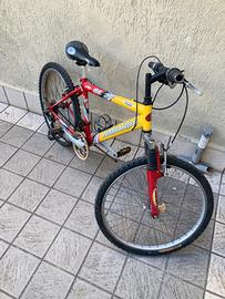 Bici Lombardo 24