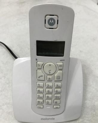 Telefoni cordless e fissi