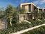 Immagine 7