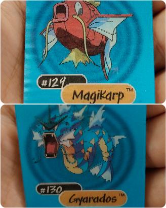 Magikarp Gyarados Card Pokemon Yoga 