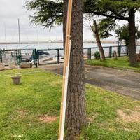 Aste per tenda in legno