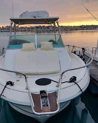 Jeanneau 805 leader