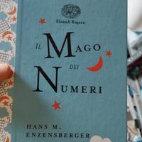 il mago dei numeri 