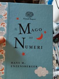 il mago dei numeri 