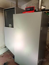 Caldaia a Pellet Viessmann