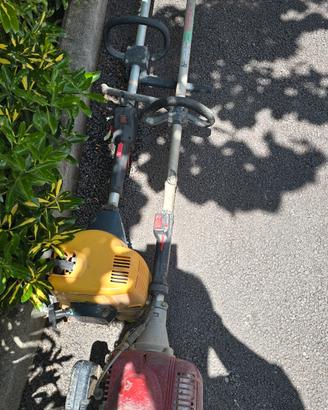 decespugliatore  gardenia