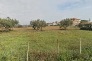 Terreno edificabile 900mtq