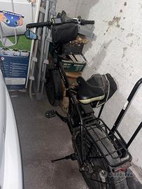 bici elettrica fatbike