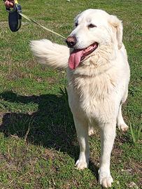 Titty e Tony sognano amore e libertà