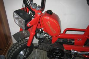 Benelli Altro modello - 1989