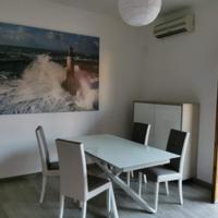 Disponibile Dicembre e Gennaio