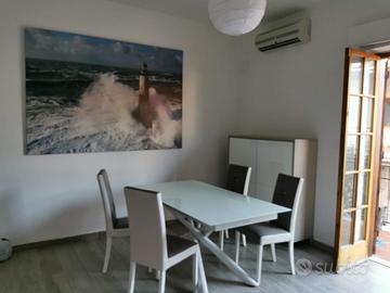 Disponibile Dicembre e Gennaio