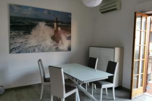 Disponibile Dicembre e Gennaio