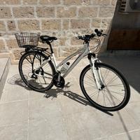 Bici Lombardo  Matera xc500