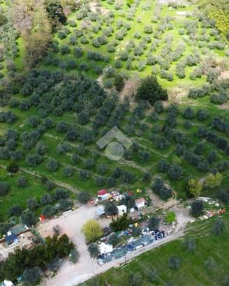 TER. AGRICOLO A PISTOIA
