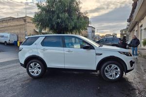 discovery sport