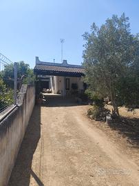 casa vacanza vicino GALLIPOLI nel SALENTO 