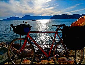 Bici Trek Usa Bikepacking Classic TG (1.75/180)