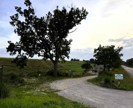 Casa Colonica con Terreno - Lapedona