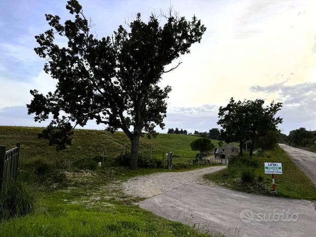 Casa Colonica con Terreno - Lapedona