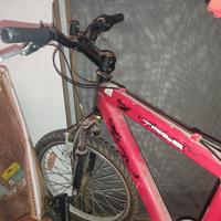 Bici bambino 8-11 anni