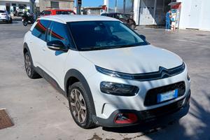 C4 CACTUS anno 2018 diesel