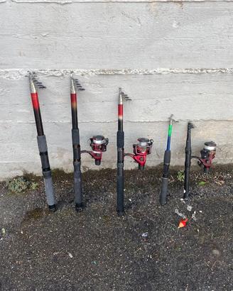 Canne da pesca set da 5