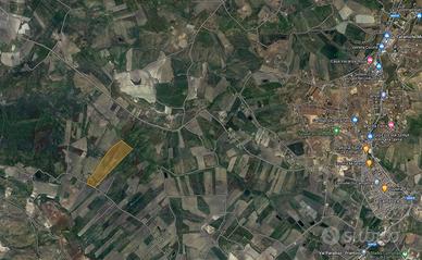 12 ettari in contrada Gambacorta