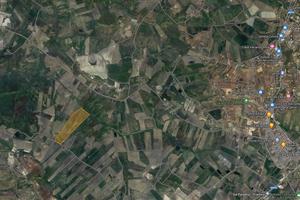 12 ettari in contrada Gambacorta