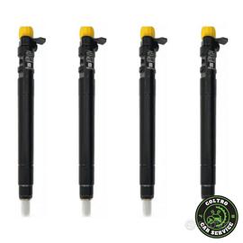 4 INIETTORI DELPHI EMBR00101D 9686191080 CITROEN F