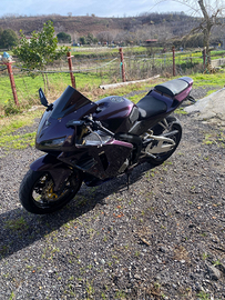 CBR 600rr