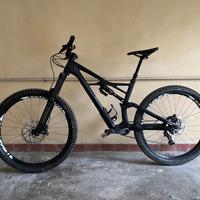 Specialized Enduro carbon