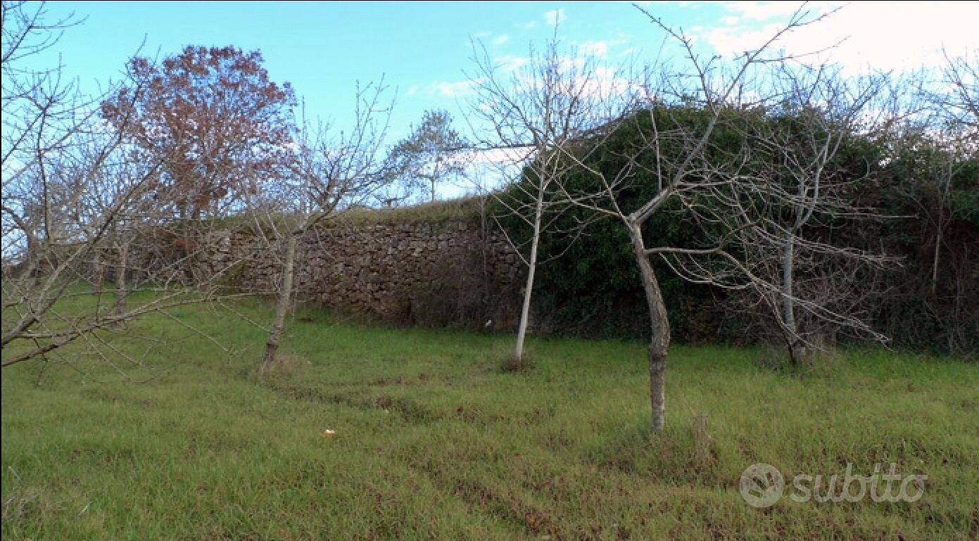 Trullo con lamia e terreno edificabile - Vista 5