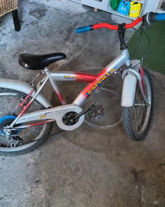 bicicletta bambino n20