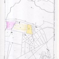 Terreno località pintorna di 10000 mq