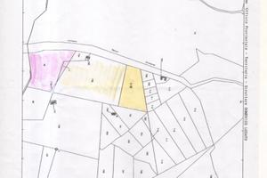 Terreno località pintorna di 10000 mq