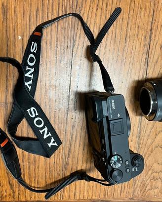 Sony a6600
